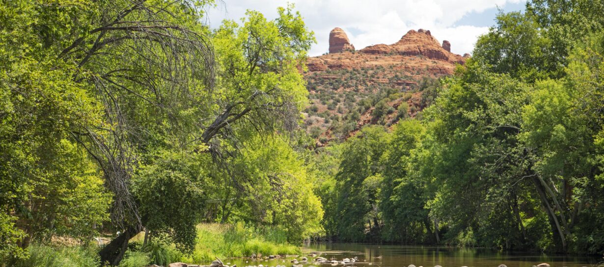 L'Auberge Oak Creek The Brandman Agency